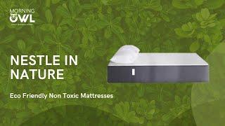 Nestle In Nature | Morning Owl™ - 100% Natural Latex Mattresses | Eco Friendly Non Toxic Mattresses