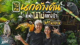 นกค้างคืน Glamping โรงแรมไม้ไผ่ Vibeดี กลางป่านครนายก | อาสาพาไปหลง