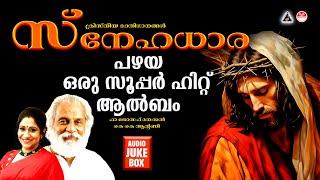 Snehadhara | Christian Devotional Songs Malayalam |Christian Songs Malayalam|Christian Songs Yesudas