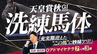 【天皇賞・秋 2024】菊花賞◎アドマイヤテラが7人気3着！今週は適性ピカイチ＋充実期迎えたこの馬から勝負！馬体診断・フォトパドック【競馬予想】