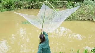 How to fish in a big flood and catch a lot of big fish on a rainy day, Đặng Thủy