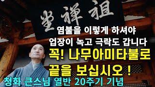 나무아미타불 염불을 이렇게 하셔야 업장이 녹고 극락세계도 갑니다 | 꼭 나무아미타불로 끝을 보십시오 | 청화스님 법문 열반 20주기 기념