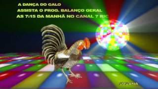 DANÇA DO GALO