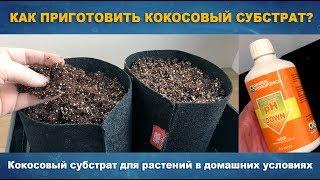 КАК ПРИГОТОВИТЬ КОКОСОВЫЙ СУБСТРАТ - Кокосовый субстрат в домашних условиях