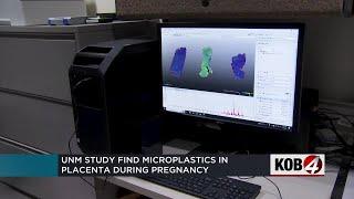 UNM study finds microplastics in placentas during pregnancy