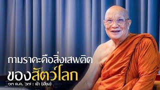 กามราคะคือสิ่งเสพติดของสัตว์โลก (เสียง) : 13 ต.ค. 67 เช้า | หลวงพ่ออินทร์ถวาย สันตุสสโก