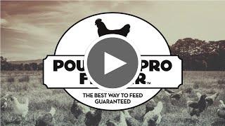 Poultry Pro Feeder, The Best Way To Feed Guaranteed