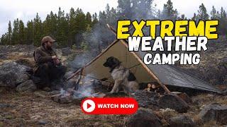 Bushcraft Camping in Extreme Weather | Pole-frame Tarp Shelter, Wet Weather Fire | by @wituikbws