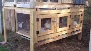 Canadian Rabbit Hutch Renovation - PART TWO