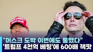 "머스크 도박 이번에도 통했다"…트럼프에 4천억 투자하고 600배 넘게 벌었다