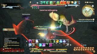 Final Fantasy XIV : Seeing Eye To Winged Eye