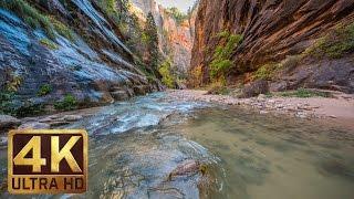 Zion National Park. Autumn - 4K Nature Documentary Film