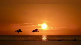 Sunset pictures, Longboat Key, FL   Sep 10 – Nov 10, 2023