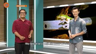 [TIẾNG BA NA] LOÀI THẰN LẰN | VTV5