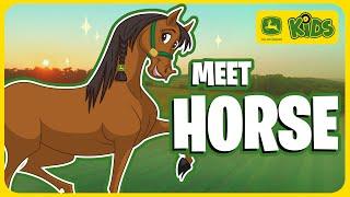 Our Horse On The Farm  ️ | John Deere Kids