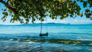 Ocean Sounds 24/7. Tropical Beach Swing on Sea Waves, Ocean White Noise, for Deep Sleep, Meditation.