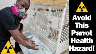 You MUST Change Your Parrot's Cage Tray EVERYDAY! | Key Reasons Revealed