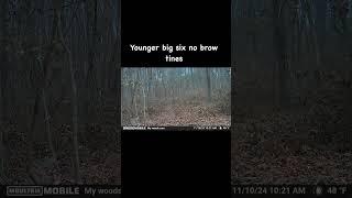 @Moultrie.Products  starting to slip up #rut #deer #hunting #fyp #MMFieldTeam #Moultrie