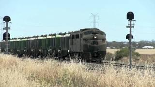 Pacific National Cement Train - PoathTV Australian Trains, Railways & Railroads