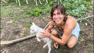 S3E2 waiting for a weather window - playing with sheep (Dominican Republic)