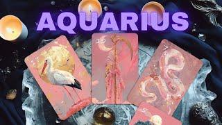 AQUARIUS ️, *WOW I WOULD STOP WHAT YOU ARE DOING & WATCH THIS! Important Message  JANUARY 