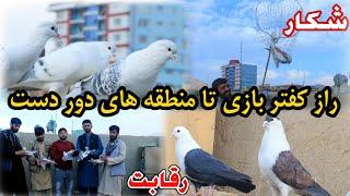 راز کفتر بازی تا منطقه های دور دست | Secret of Dove game in for from areas