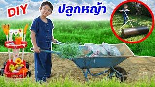 สกายเลอร์ปลูกหญ้า จะทำได้ไหม? ‍ DIY การปลูกหญ้าหน้าบ้านง่ายๆ