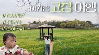 [고창여행] 아기랑 고창 가볼만한 곳 | 고창청보리밭, 상하농원, 선운사