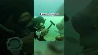 Каждый вратарь поймет… #хоккей #hockey #рек #хоккеисты #хорс #медиалига #челлендж