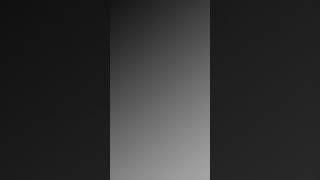 19 November 2024