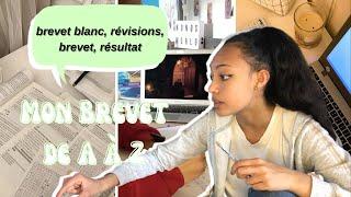Mon Brevet de A à Z ( Brevet blanc, Révisions, Brevet, Découverte des Résultats)