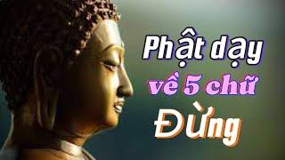 Phật dạy về 5 chữ Đừng. Rất hay. Ánh Đạo Vàng