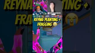 Reyna: Planting + Fragging  | #Valorant Short Gameplay