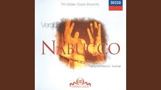 Verdi: Nabucco / Act 2 - Chi mi toglie il regio scettro!