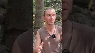 Мой главный учитель #МЕДИТАЦИИ ️ #джунгли #природа #индия