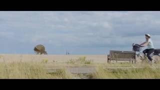 Cycling on the Suffolk Coast