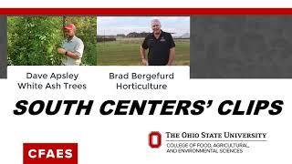 1- SOUTH CENTERS CLIPS: White Ash Trees, Horticulture at South Centers, Good and Bad Fat