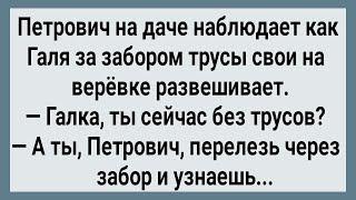 Как Петрович Через Забор к Соседкам Лазил! Сборник Свежих Анекдотов! Юмор!