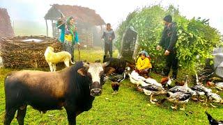 Nomads' Efforts to Survive from Sudden Onset of Rain in the Summer