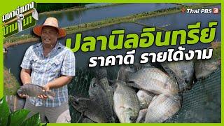 ปลานิลอินทรีย์ ราคาดี รายได้งาม | มหาอำนาจบ้านนา