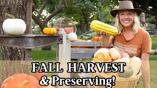 Our Fall Harvest & What We Are Preserving for Our Winter Self Sufficiency