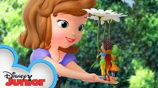 The Littlest Princess | Sofia The First | @disneyjunior