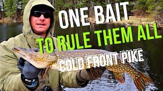 Best Lure For Cold Front Pike - You're Probably Not Using!