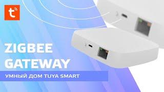 Умный дом Tuya Smart, шлюз Zigbee - Ethernet от Moes, обзор, подключение устройств, возможности