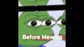 Pepe the Frog After Mewing‍️