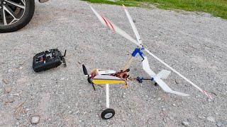 RC Autogyro - Luobo