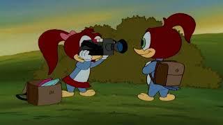 woody woodpecker,woody the woodpecker,woody woodpecker show,woody woodpecker full episodes