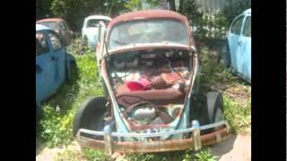 Don's Bug Barn, VW Salvage Yard