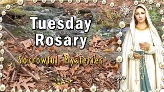 TODAY HOLY ROSARY Tuesday  Sorrowful Mysteries Rosary, NOVEMBER 19, 2024