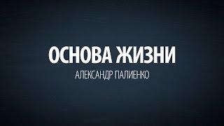 Основа жизни. Александр Палиенко.